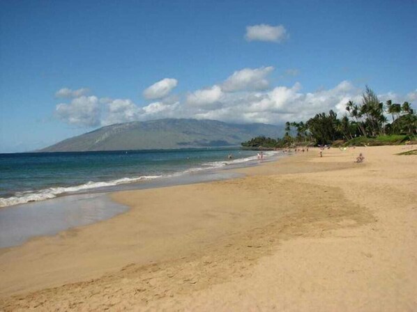Kamaole Beach II  short walk from the home.