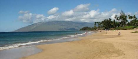 Kamaole Beach II