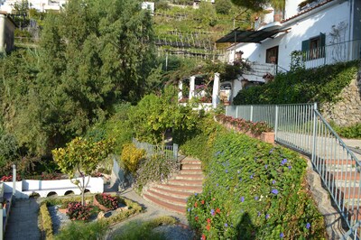 Picture of villa
