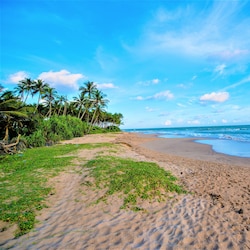 Strand