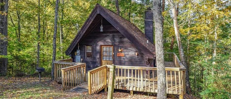 Little Ladybug Resort Honeymooners Cabin with Mountain Backdrop