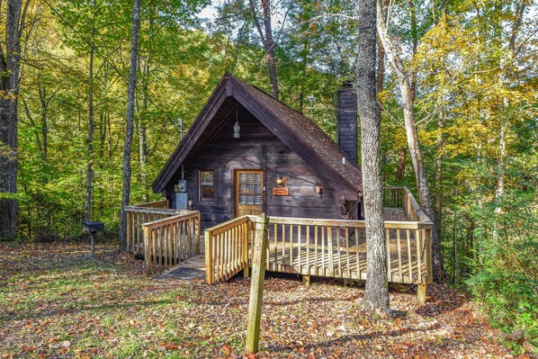 Little Ladybug Resort Honeymooners Cabin with Mountain Backdrop