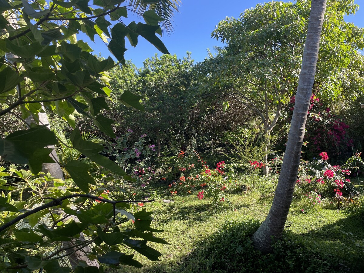 Stunning ocean views guest house in Kona Paradise, quiet & safe neighborhood.