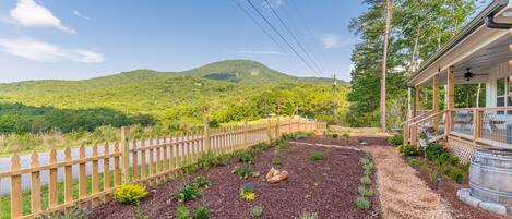 Mt. Yonah views and across the street from Serenity Cellars Winery!