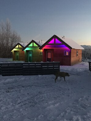 Exteriör