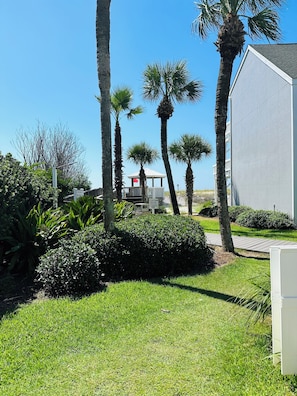 Grassy yard off our patio leads directly to the beach walkover. 