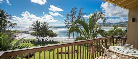 View From Lanai Area