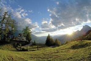 Surroundings [summer] (1-5 km)