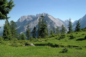 Surroundings [summer] (1-5 km)