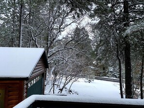 Snow day at East Oak, looking out from the front deck