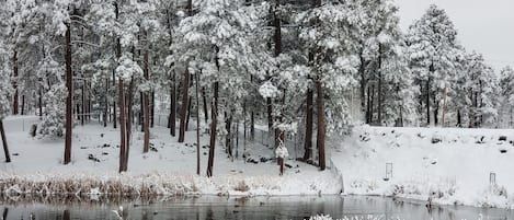 Welcome to the White Mountains! Enjoy the view from our patio Mi Casa Es Su Casa