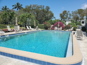 Refreshing pool, luscious garden 
and grounds are just steps out the door. 