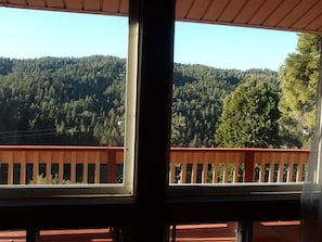 Ridgeline view from master bedroom window.