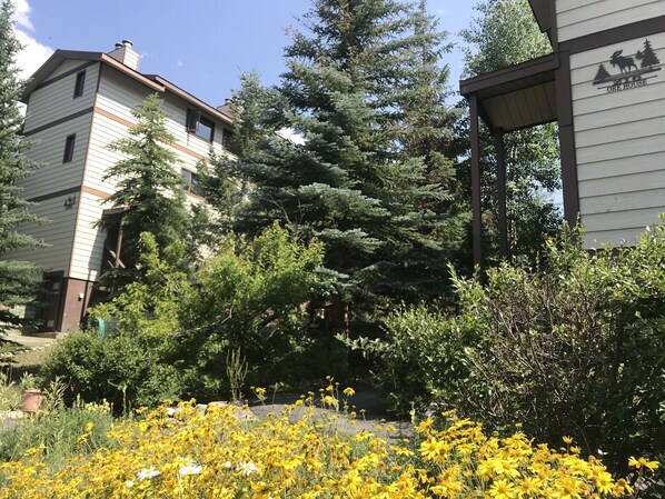 Summer view of building