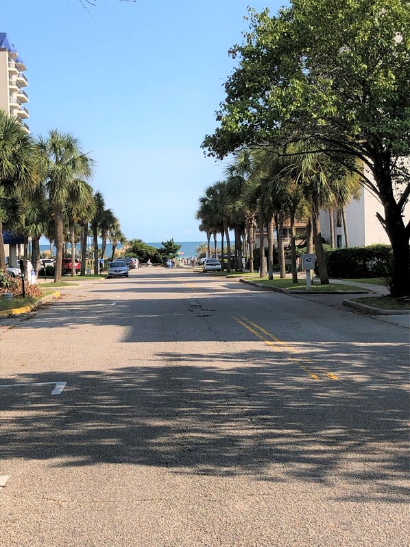 Not oceanfront, but this is the street view, a few feet from our door.