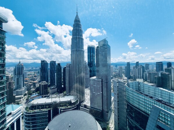 Vista desde la propiedad