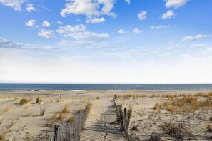 ,Beach,