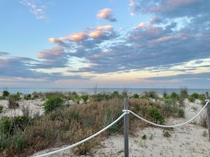 Stroll Through Sand Dunes to Dewey Beach