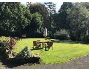 Back Garden