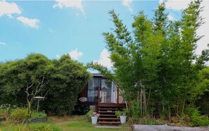 Orchard Cottage at Bamboo Park, the bamboo grove near the beach