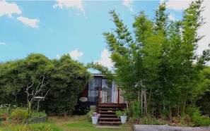 Orchard Cottage at Bamboo Park, the bamboo grove near the beach