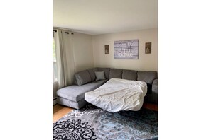 Queen size pull out sofa