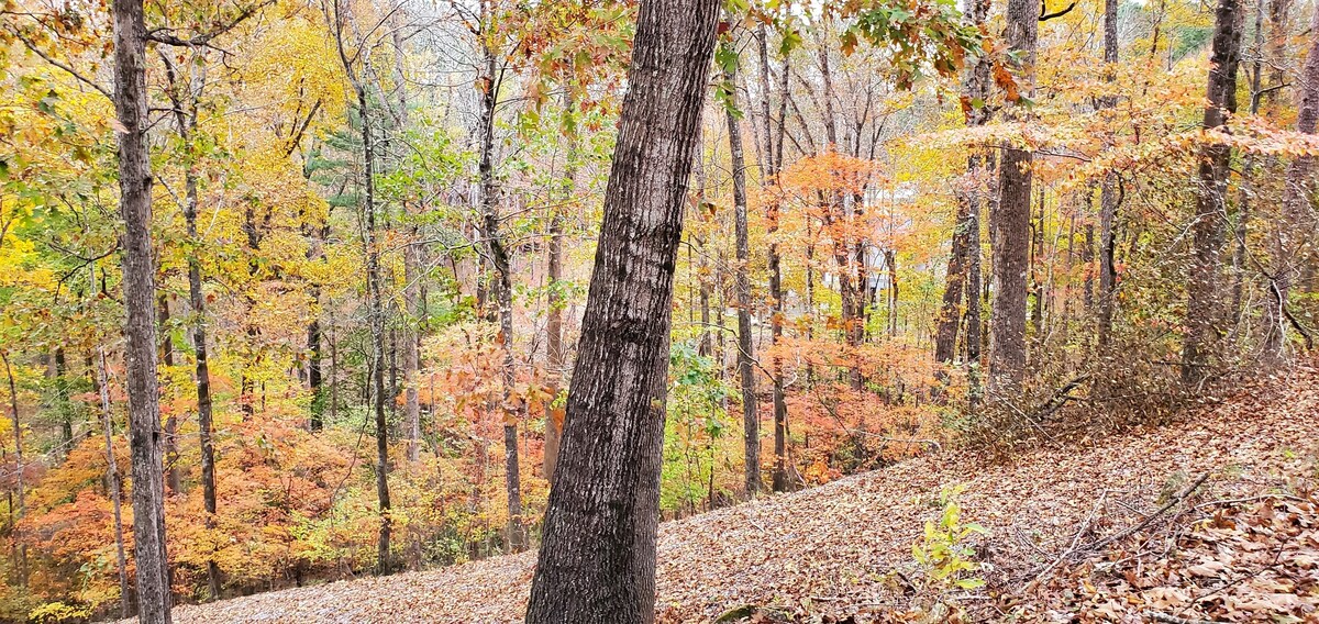 Pet-Friendly Keowee lakefront luxury home w/dock, 5BR, kayaks, stone fire pit