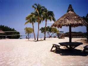 Picnic Area at Beach