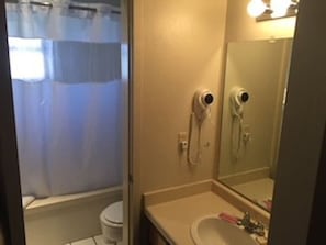 Master Bedroom with jacuzzi cub