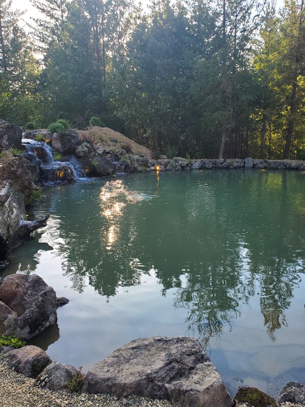 Pond at dusk