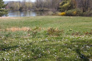 Terrain de l’hébergement 