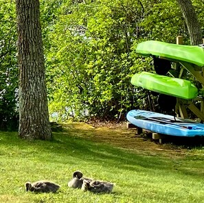 2 Kayaks and a SUP (stand up paddleboard) await your arrival.