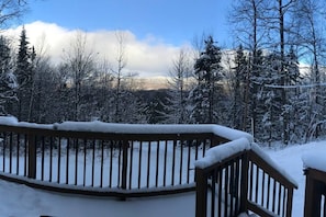 Winter Porch Snow