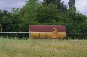 Oklassificerad bild, 2 av 16, knapp