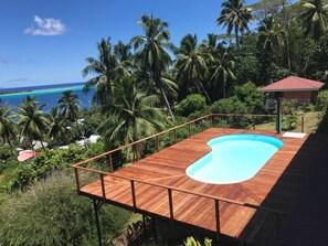 Back Garden