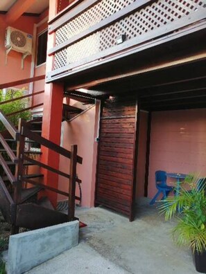 Back Garden