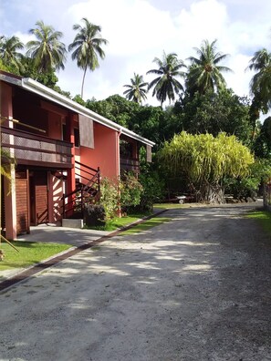 Back Garden
