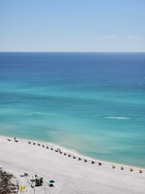 Dazzling Beach View
