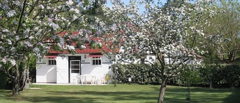 maison Camélia au printemps