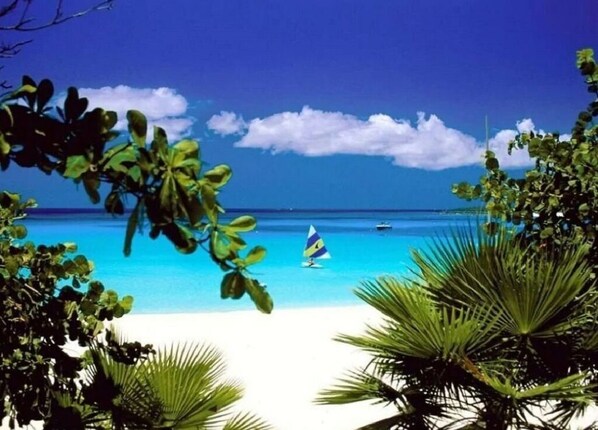 Vue sur la plage ou l’océan