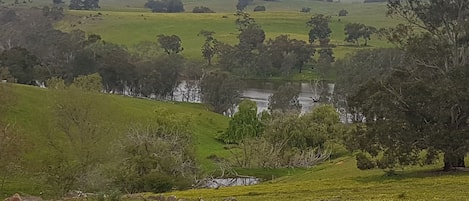 View from the house looking down towards the Campaspe River