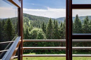 Montanious view from the window