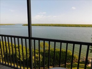 Your view