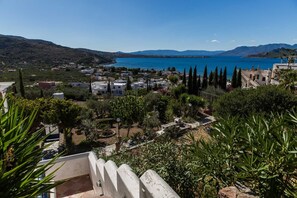 View of the garden