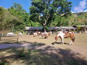 Terrenos do alojamento