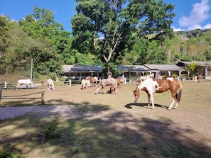 Parco della struttura