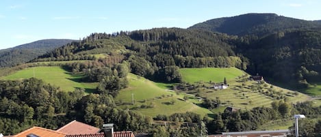 Vista dalla struttura