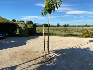 Vue de la terrasse sur les champs et le Mont Ventoux