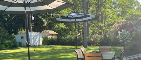 Big Backyard with Patio Furniture / Weber BBQ