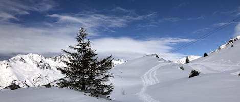 Snow and ski sports